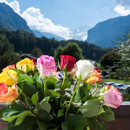 Jungfrau Hotel Annex Alpine-Inn Wilderswil Eksteriør bilde